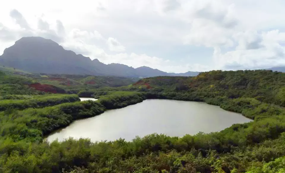 4- or 7-Night Hawaii Vacation with Airfare, Accommodations, and Moped Rental. Price per Person Based on Double Occupancy - Second Medium