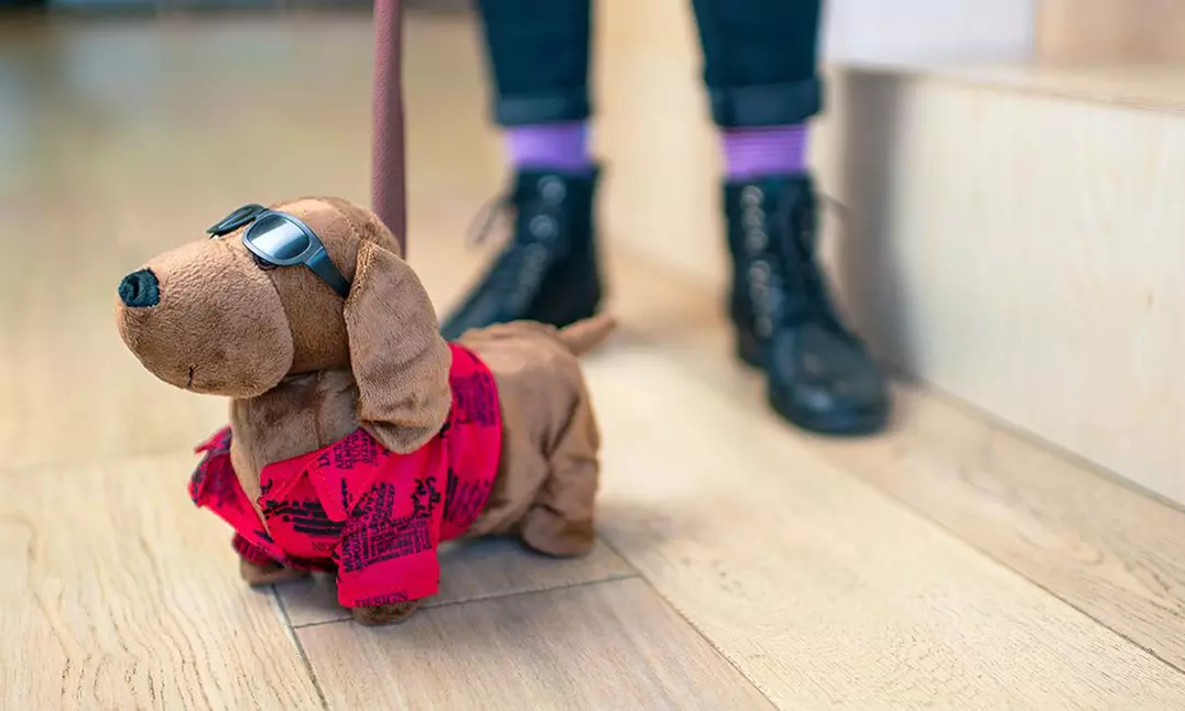 Chien en peluche marchant avec une laisse et chantant, livraison gratuite - Primary Image