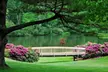 One- or Two-Night Stay at Chetola Mountain Resort in Blowing Rock, NC - Second Medium