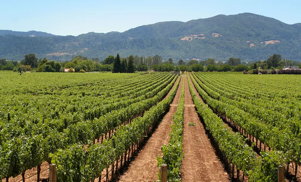 Gift a 1- or 2-Night Stay with Wine Tastings at Oleander House in Napa Valley, CA. Combine Up to 10 Nights. - Primary Image