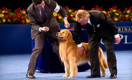 The National Dog Show for Two or Four on November 18 at Greater Philadelphia Expo Center at Oaks (Up to 50% Off) - Primary Image