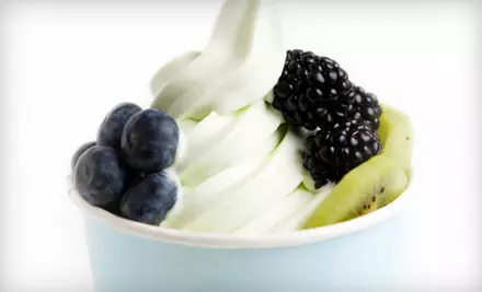 $5 for $10 Worth of Frozen Yogurt and Treats or Punch Card for Five Large Waffle Cones at Yo So Delicious Frozen Yogurt Bar in Mt. Juliet - Primary Image