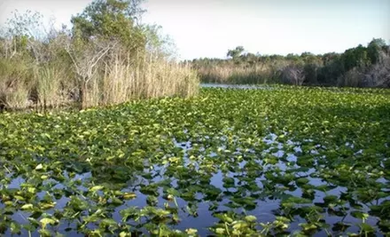 $35 for a Five-Hour Fishing-Boat Rental from Everglades Holiday Park (Up to $75 Value) - Primary Image