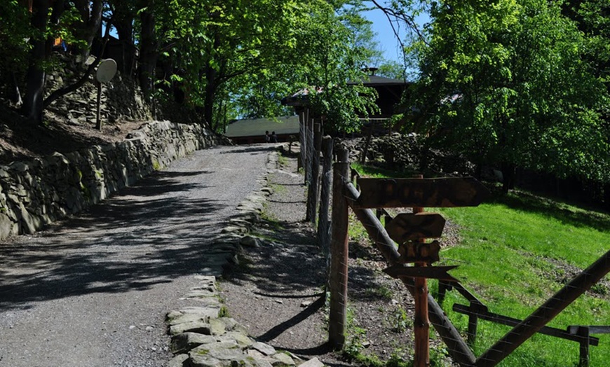 Image 11: Leśny Park Niespodzianek