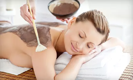 European Facial or Hot Mud-and-Seaweed Wrap at Touch of Europe Spa in West Bloomfield - Primary Image