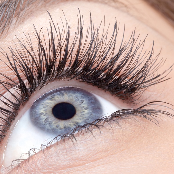 eyelash extension certification