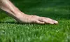 $99 for an 18-Point Soil Analysis and Organic Lawn Treatment from Green Thumb Organic Lawn Care ($200 Value)