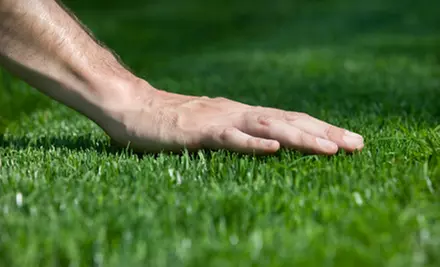 $99 for an 18-Point Soil Analysis and Organic Lawn Treatment from Green Thumb Organic Lawn Care ($200 Value) - Primary Image