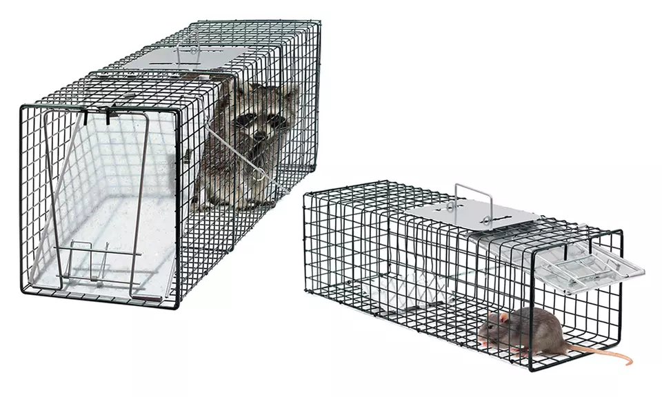 Humane Pest and Rodent Live Trap - Primary Image