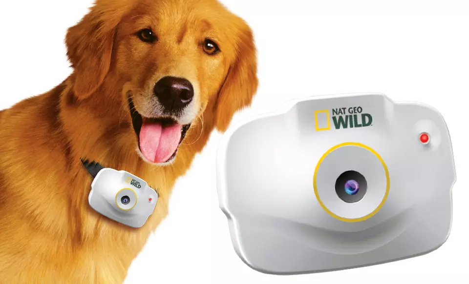 National Geographic Pet's-Eye-View Camera. Free Returns. - Primary Image