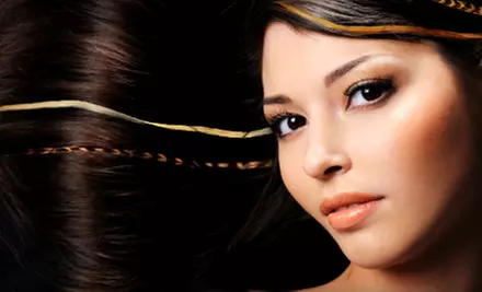 Hair Feather and Tinsel Hair-Extensions with Hair Services or Scrub and Rub Facial at Salon Lux in Cranston - Primary Image