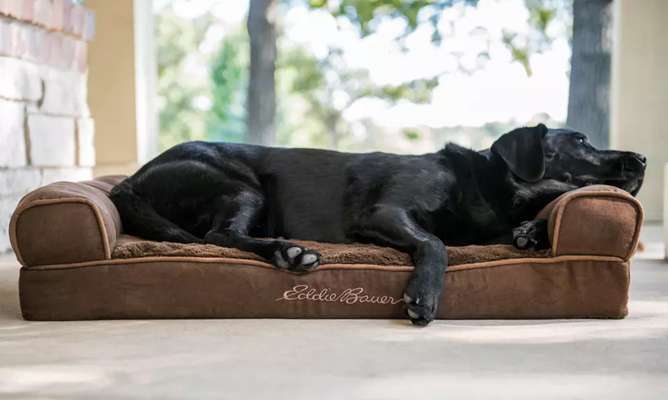 Eddie Bauer Large Couch Dog Bed - Primary Image