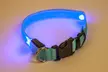 LED Dog Collars With Three Light Settings In Choice of Colour for £1.99 - Image 5