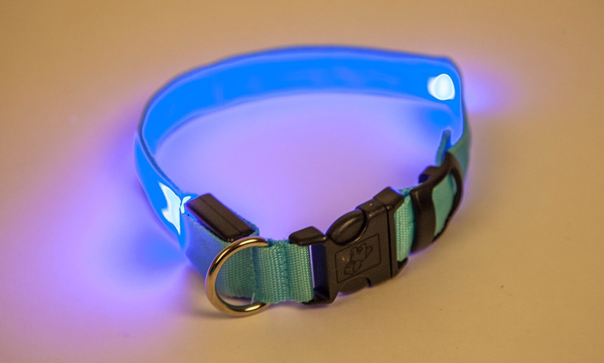 Image 5: LED Dog Collars