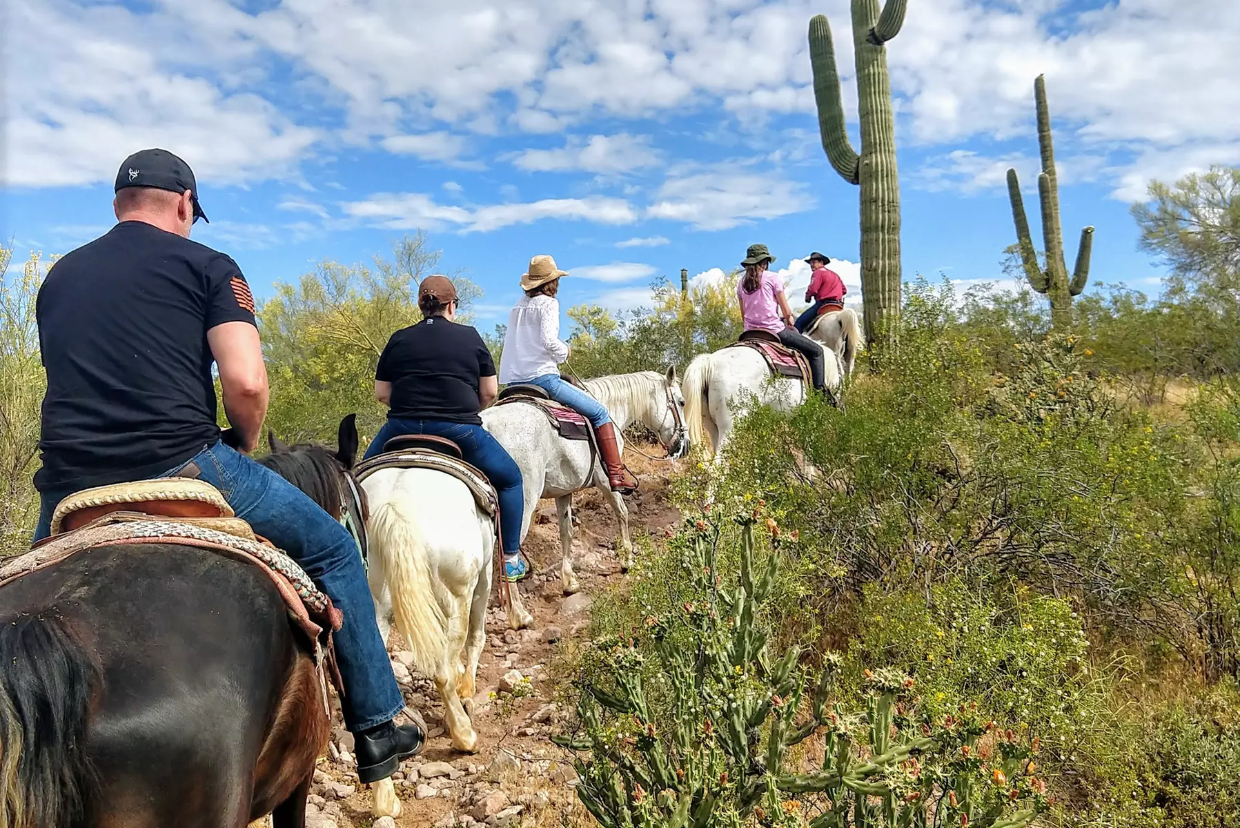 Betty's Trail Ride Deal: One-Hour Horseback with Up to 22% Off