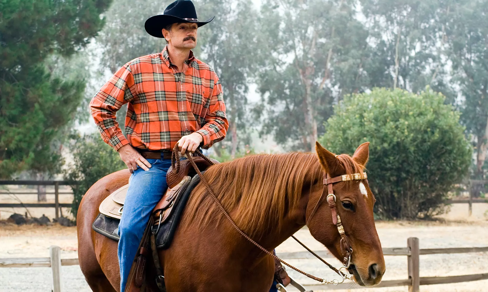One or Three Horseback-Riding Lessons at Trail Rides of Ojai (Up to 56% Off) - Primary Image