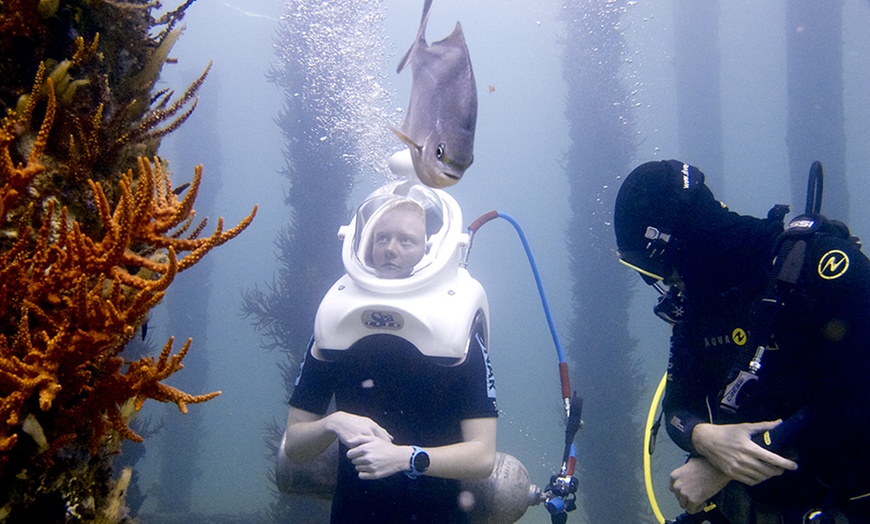 Image 6: Undersea Walking Tour