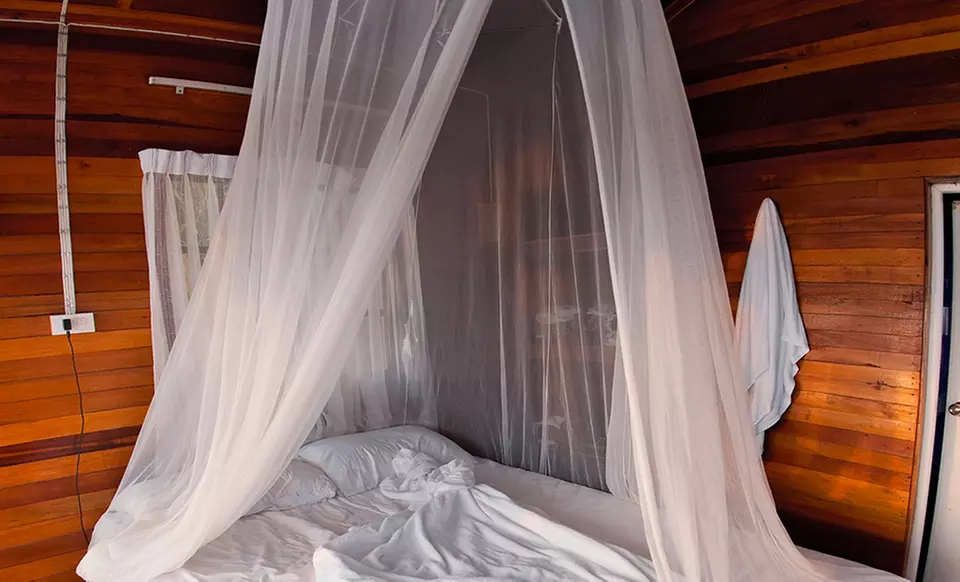 Jumbo Mosquito Net  - Primary Image
