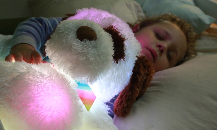 Image 1: Light-Up 60cm Teddy Bear