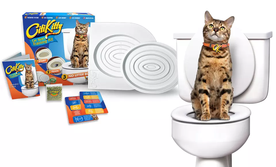 $13.99 for a CitiKitty Cat Toilet-Training System ($29.99 List Price). Free Returns. - Primary Image