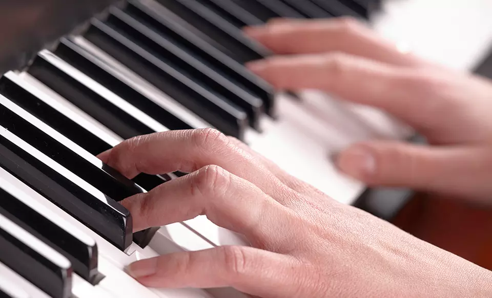 6 or 12 Months of Online Piano Lessons by Animated Piano Tutorial Application from OnlinePianist.com - Primary Image