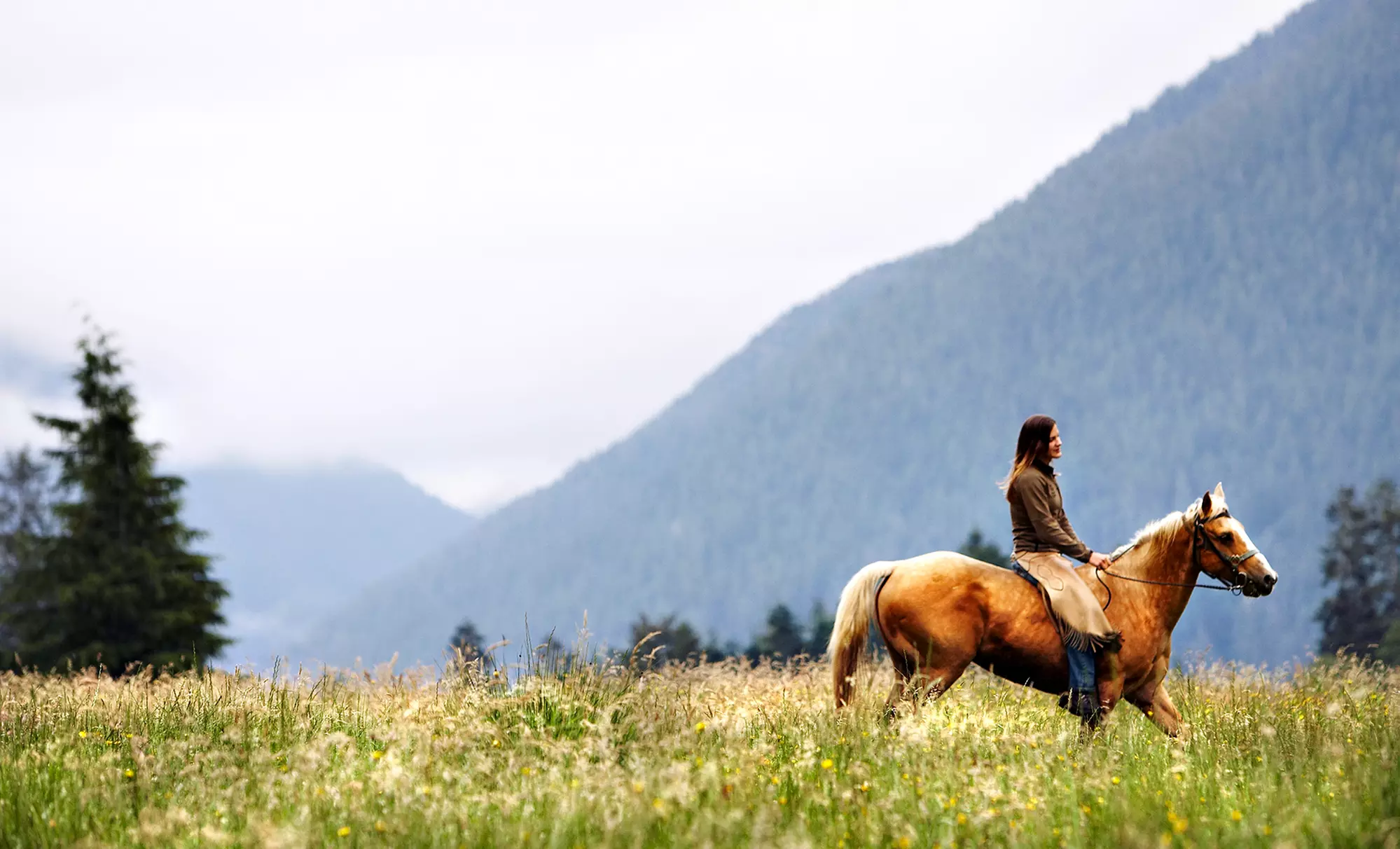 One- or Two-Hour Horseback Trail Ride for Two or Four at Blue Ridge Trail Riding (Up to 52% Off) - Primary Image