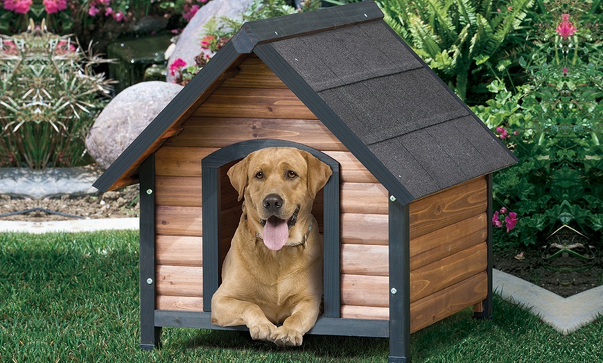 Extreme Country-Lodge Dog House | Groupon Goods