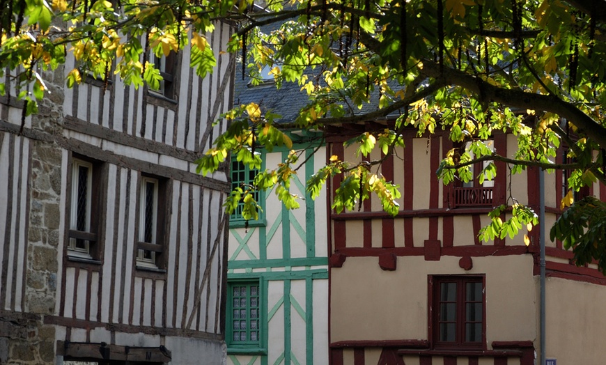 Image 1: Saint-Brieuc : chambre double confort avec pdj, apéritif et dîner