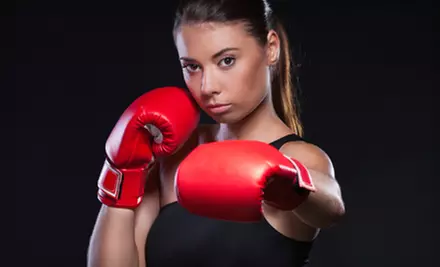 10 Fitness Classes or Three or Six Months of Classes at Al Irish's Shut Up and Box (Up to 81% Off) - Primary Image