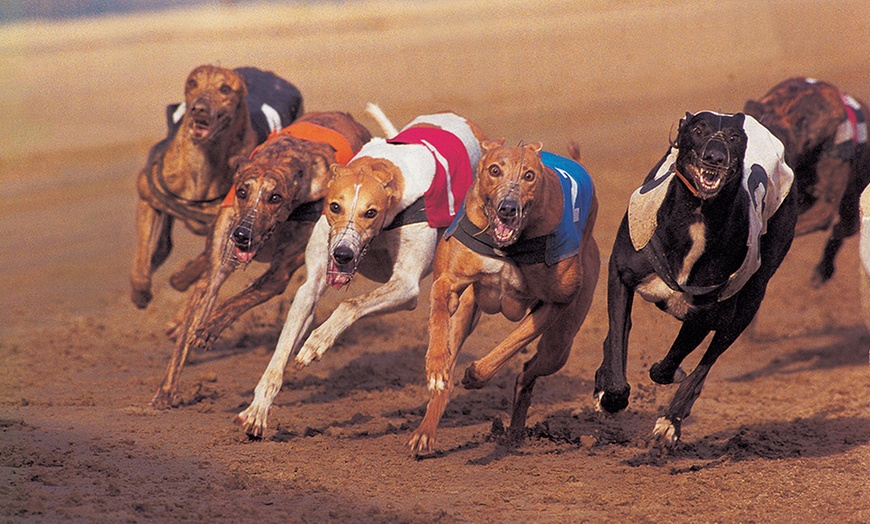 Image 1: Greyhound Race Night with Food