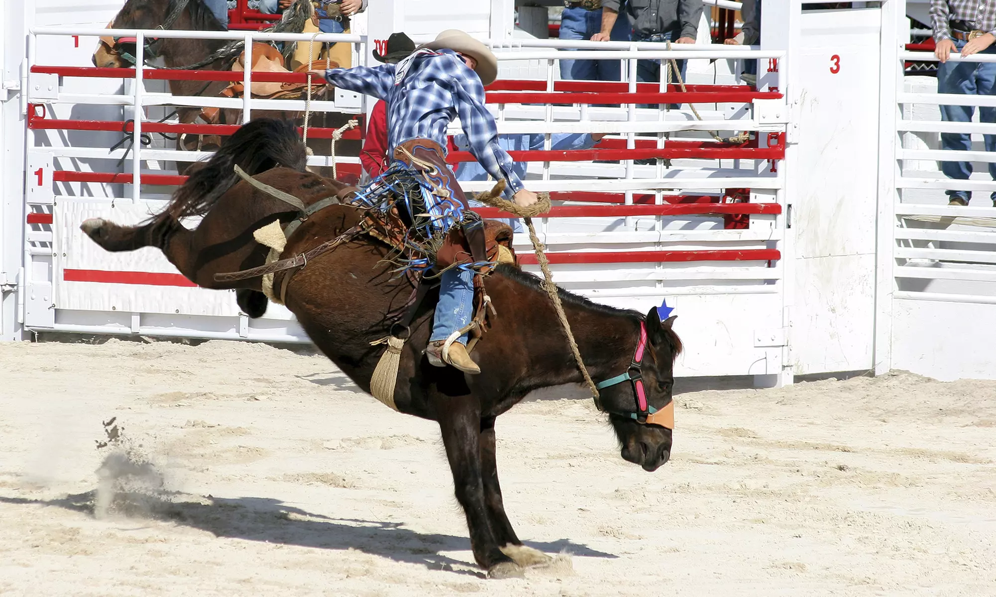 Professional Bull Riders Tickets - Primary Image