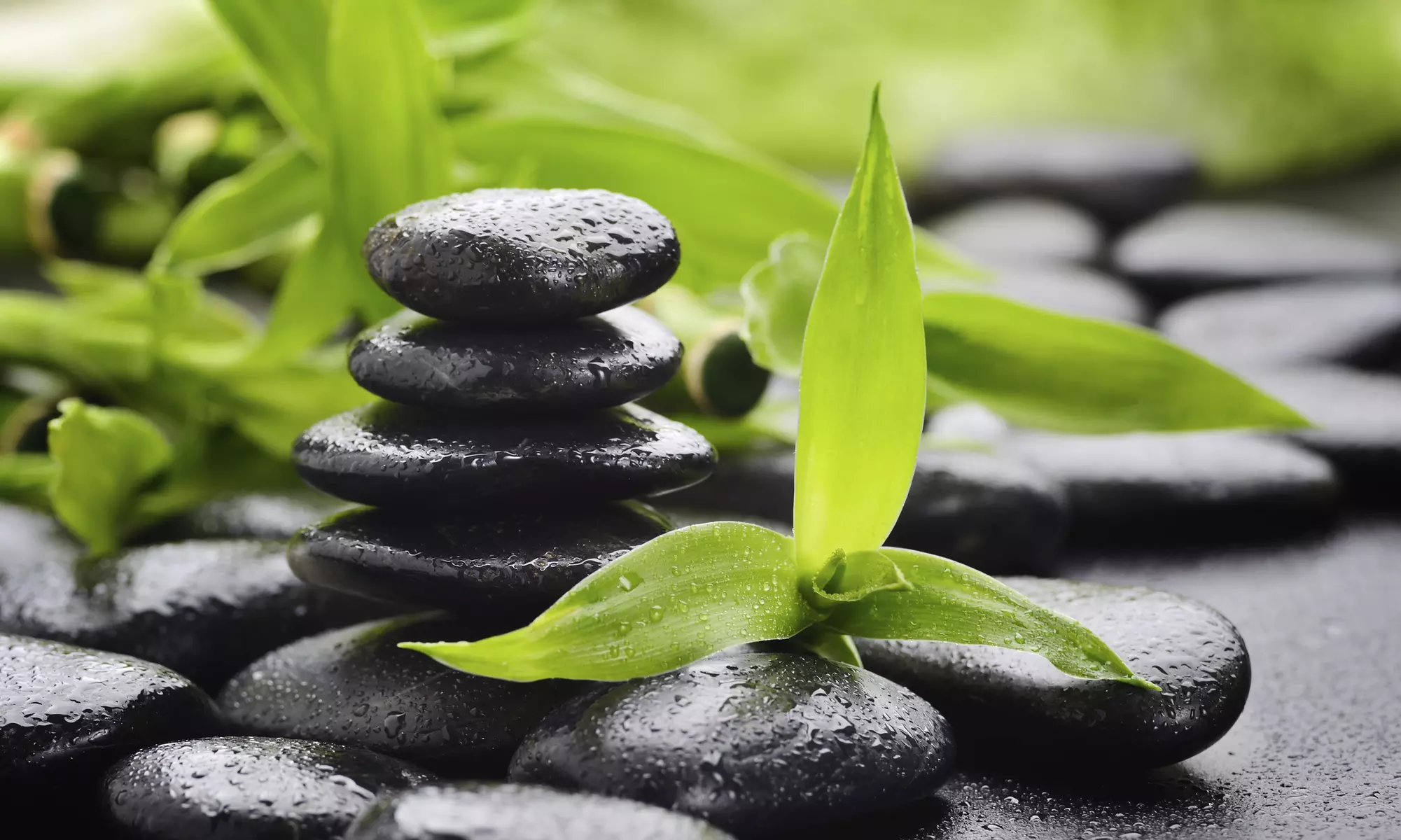 75-Minute Home Feng-Shui Consultation from The Feng Shui Practitioner  (45% Off) - Primary Image