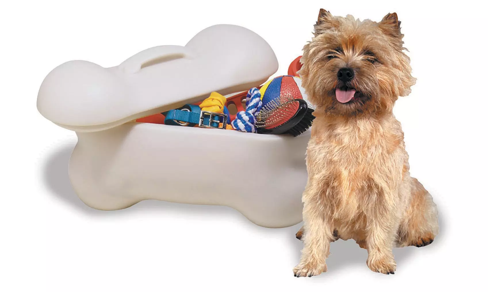 Bone-Shaped Storage Bins for Pets - Second Medium
