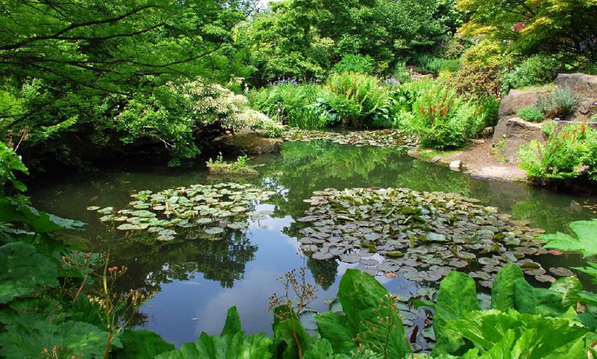 Image 7: Gardens Entry and Afternoon Tea