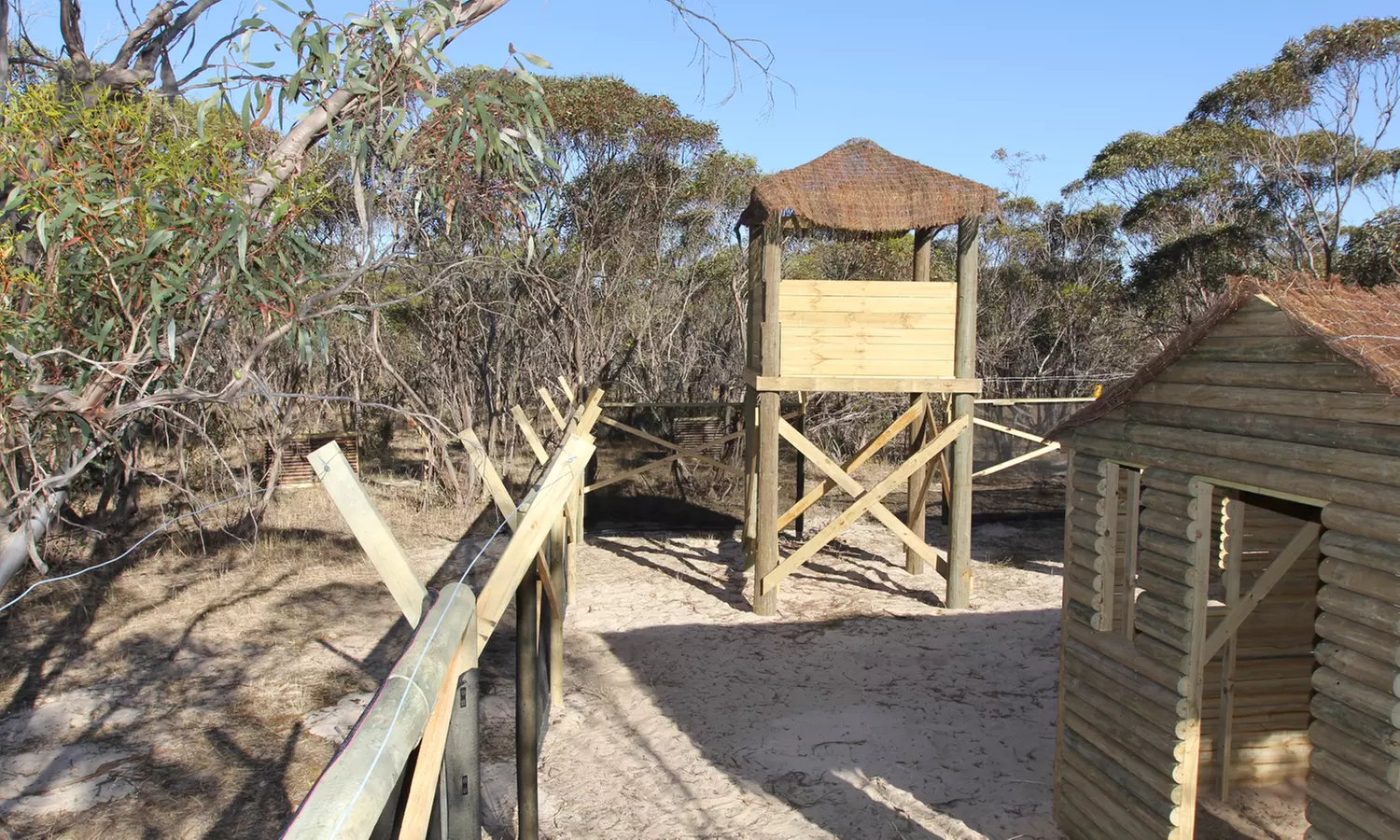 Paintball Game + Equipment