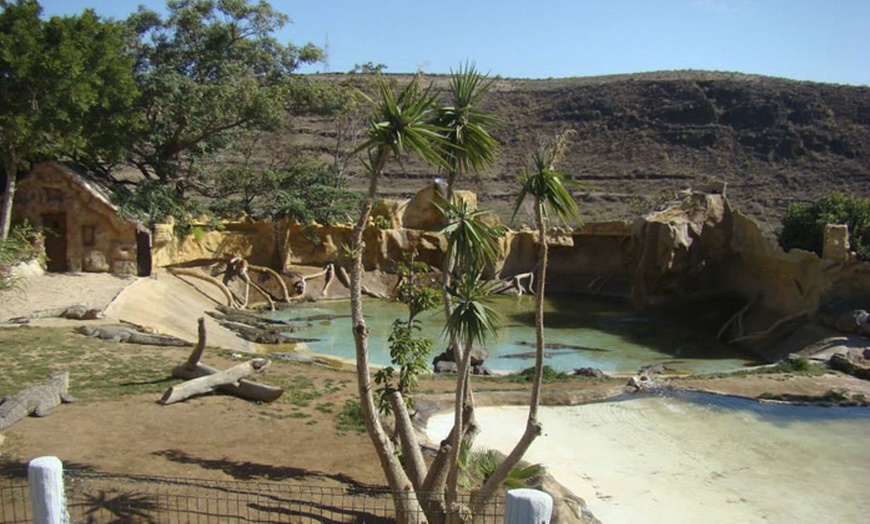 Image 3: Entrada a Cocodrilo Park