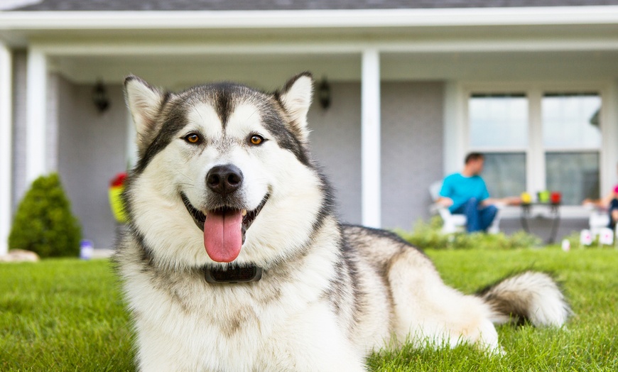 motorola wireless pet fence