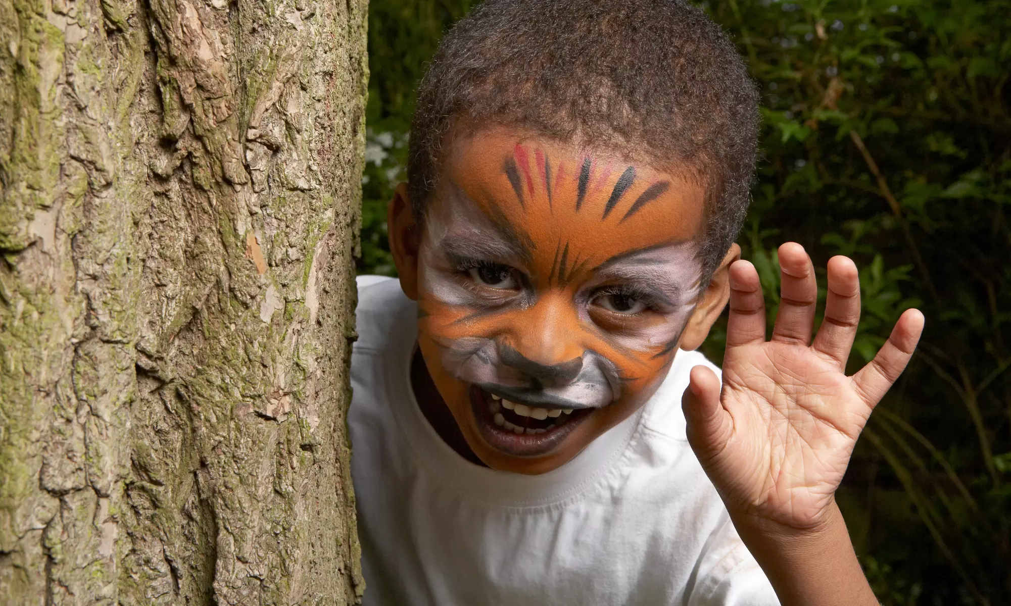 One Hour of Face-Painting Services from Calico Face Painting (55% Off) - Primary Image