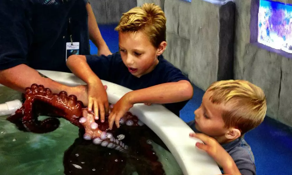 Visit for 2, 4, or 20, or Party for Up to 10 Kids at Portland Aquarium (Up to 58% Off). Four Options Available. - Primary Image