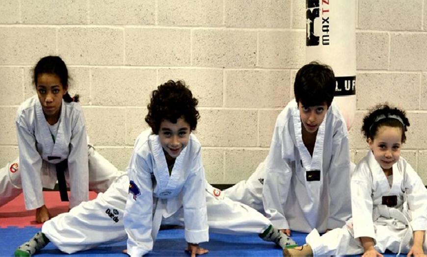 Image 2: Two Kids Taekwondo Lessons