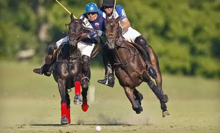 Polo Match for One in General-Admission Seating or Reserved Box for Up to Six at Houston Polo Club (Half Off) - Primary Image