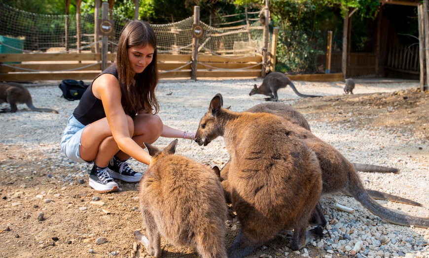 Image 7: Billet adulte ou enfant pour le Zoo d'Amneville