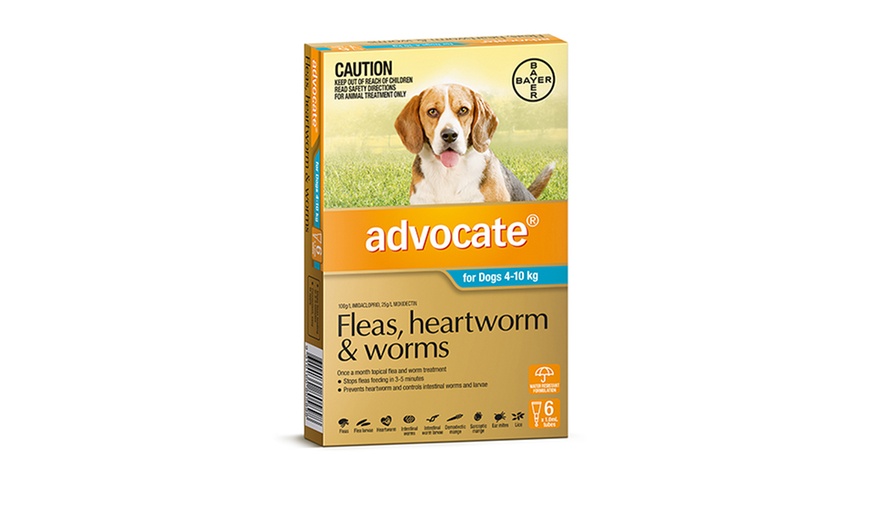 Image 6: Advocate 6-Pack Flea Treatment