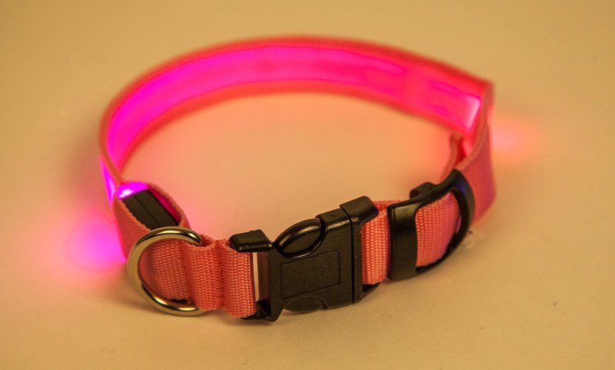 Image 8: LED Dog Collars