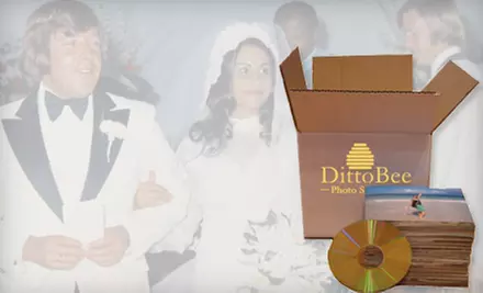 Digitization of 500 or 1,000 Photos at DittoBee Photo Scanning (61% Off) - Primary Image