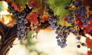 50% Off Day-Trip Excursion to Michigan Wine Country