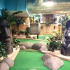 Image 2: Adventure Island Mini Golf