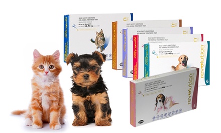 Revolution® Flea Treatment | Groupon