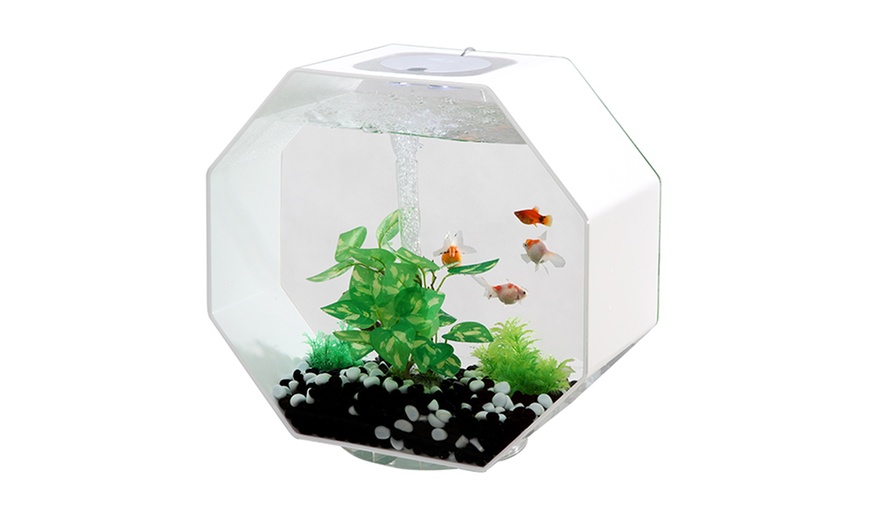 Aquavista Octagon Fish Aquariums | Groupon Goods