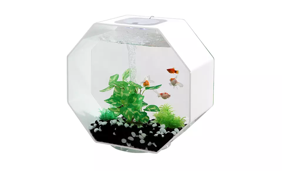 Aquavista 8Gal. Octagon Fish Aquariums - Primary Image